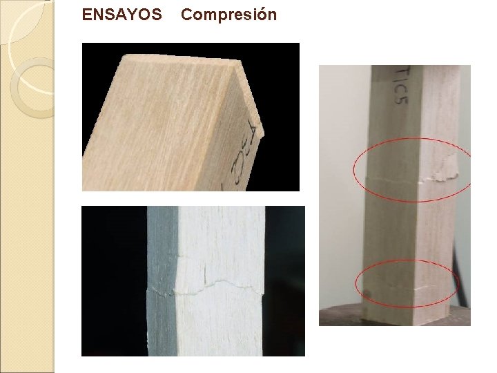 ENSAYOS Compresión 