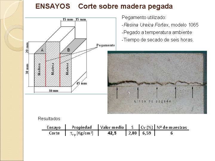 ENSAYOS Corte sobre madera pegada Pegamento utilizado: -Resina Ureica Fortex, modelo 1065 -Pegado a