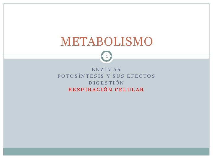 METABOLISMO 1 ENZIMAS FOTOSÍNTESIS Y SUS EFECTOS DIGESTIÓN RESPIRACIÓN CELULAR 