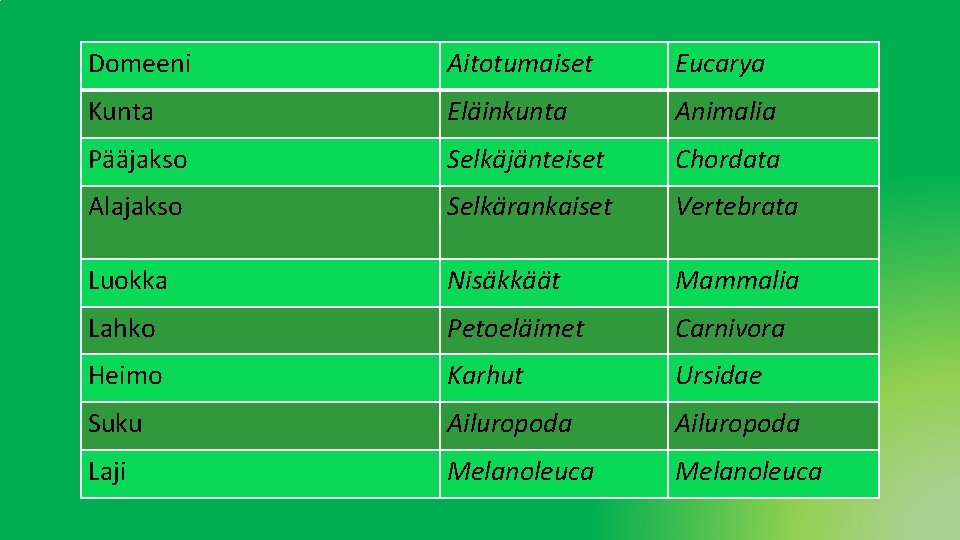 Domeeni Aitotumaiset Eucarya Kunta Eläinkunta Animalia Pääjakso Selkäjänteiset Chordata Alajakso Selkärankaiset Vertebrata Luokka Nisäkkäät Domeeni Aitotumaiset Eucarya Kunta Eläinkunta Animalia Pääjakso Selkäjänteiset Chordata Alajakso Selkärankaiset Vertebrata Luokka Nisäkkäät