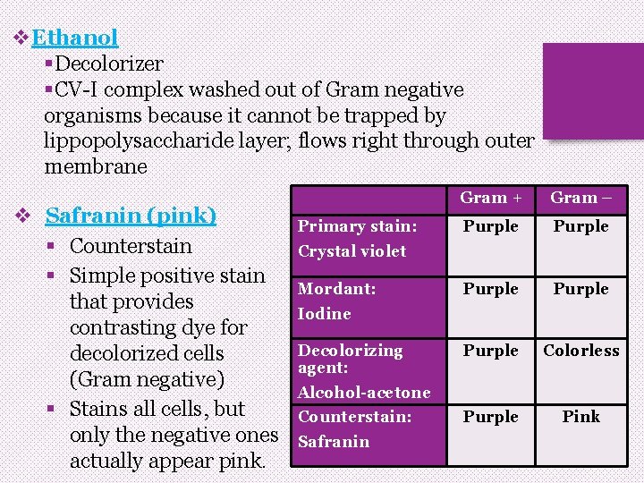 v. Ethanol §Decolorizer §CV-I complex washed out of Gram negative organisms because it cannot