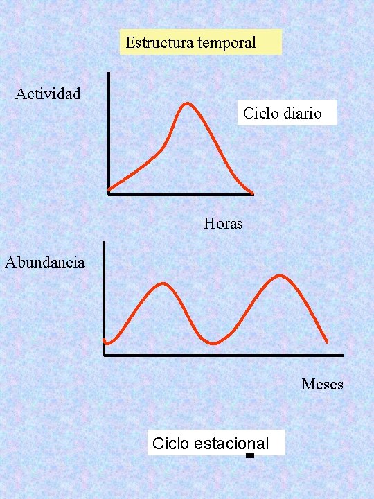 Estructura temporal Actividad Ciclo diario Horas Abundancia Meses Ciclo estacional 