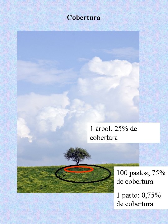 Cobertura 1 árbol, 25% de cobertura 100 pastos, 75% de cobertura 1 pasto: 0,