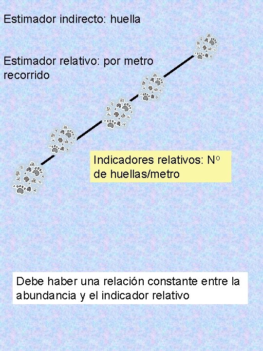 Estimador indirecto: huella Estimador relativo: por metro recorrido Indicadores relativos: No de huellas/metro Debe