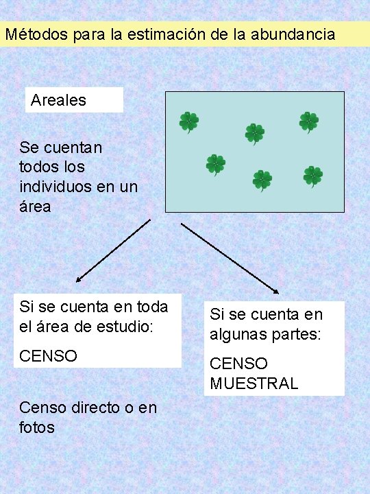 Métodos para la estimación de la abundancia Areales Se cuentan todos los individuos en