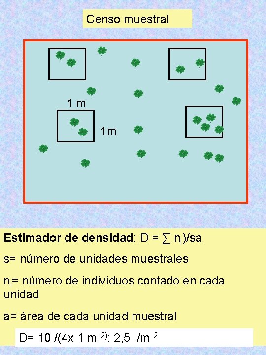 Censo muestral 1 m 1 m Estimador de densidad: D = ∑ ni)/sa s=