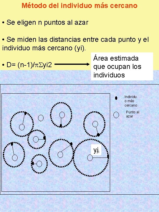 Método del individuo más cercano • Se eligen n puntos al azar • Se