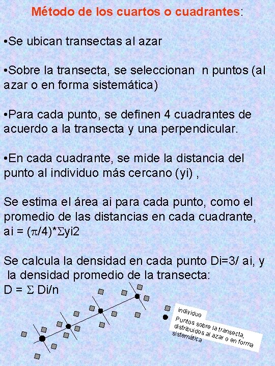 Método de los cuartos o cuadrantes: • Se ubican transectas al azar • Sobre