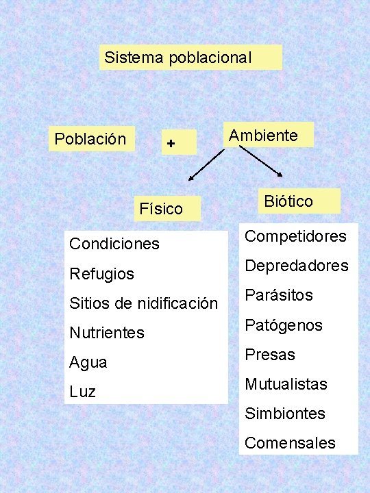 Sistema poblacional Población + Físico Ambiente Biótico Condiciones Competidores Refugios Depredadores Sitios de nidificación