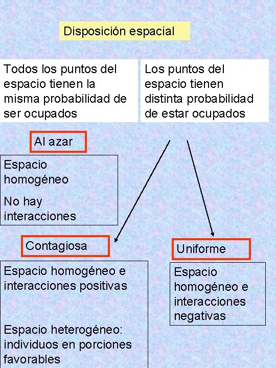 Disposición espacial Todos los puntos del espacio tienen la misma probabilidad de ser ocupados