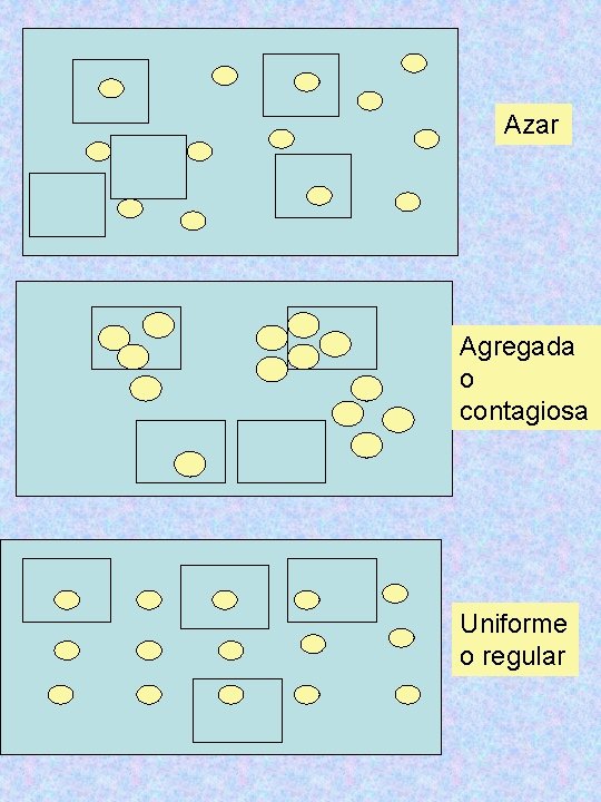 Azar Agregada o contagiosa Uniforme o regular 