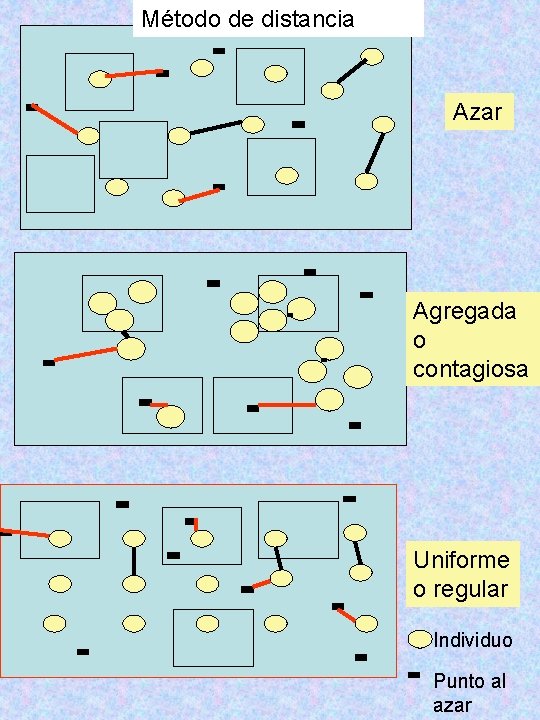 Método de distancia Azar Agregada o contagiosa Uniforme o regular Individuo Punto al azar