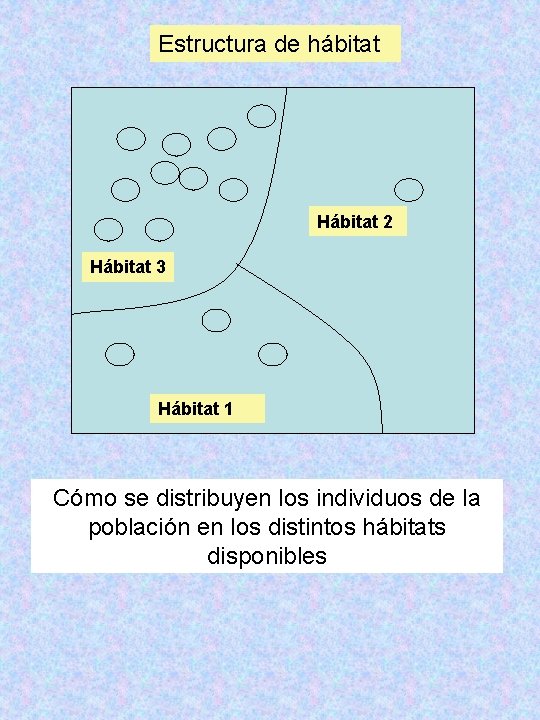 Estructura de hábitat Hábitat 2 Hábitat 3 Hábitat 1 Cómo se distribuyen los individuos