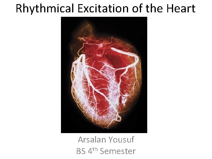 Rhythmical Excitation of the Heart Arsalan Yousuf BS 4 th Semester 