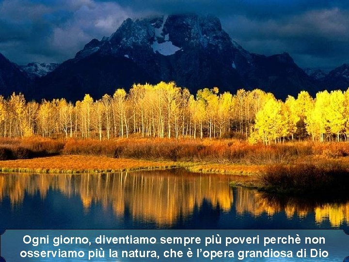Ogni giorno, diventiamo sempre più poveri perchè non osserviamo più la natura, che è