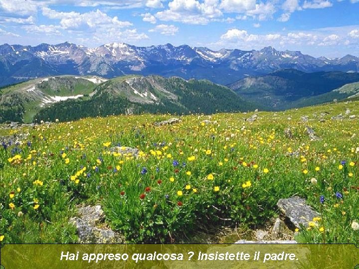Hai appreso qualcosa ? Insistette il padre. 