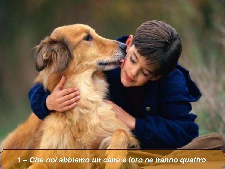 1 – Che noi abbiamo un cane e loro ne hanno quattro. 