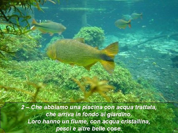 2 – Che abbiamo una piscina con acqua trattata, che arriva in fondo al