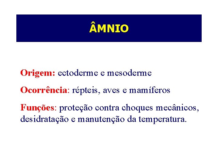  MNIO Origem: ectoderme e mesoderme Ocorrência: répteis, aves e mamíferos Funções: proteção contra