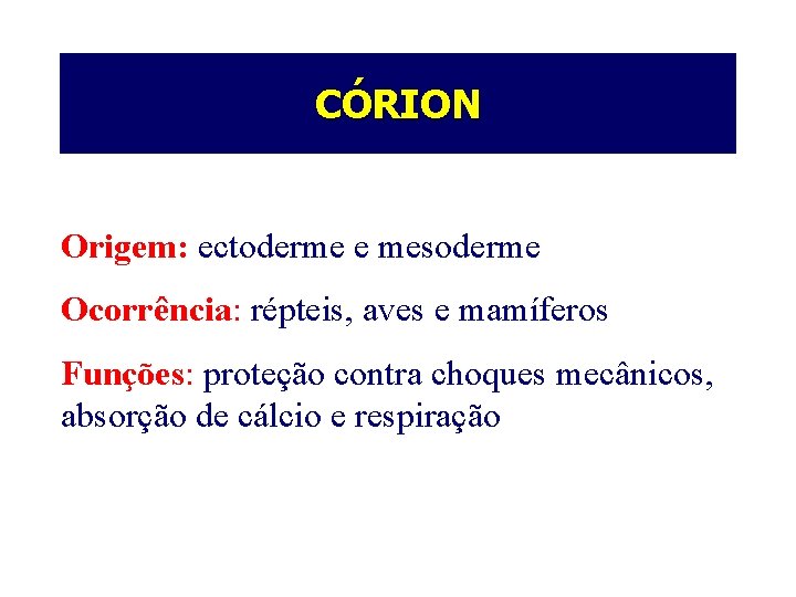CÓRION Origem: ectoderme e mesoderme Ocorrência: répteis, aves e mamíferos Funções: proteção contra choques