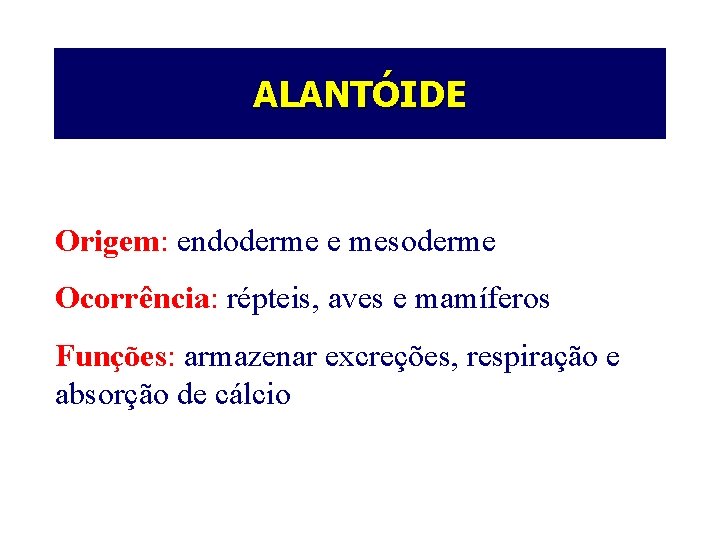 ALANTÓIDE Origem: endoderme e mesoderme Ocorrência: répteis, aves e mamíferos Funções: armazenar excreções, respiração