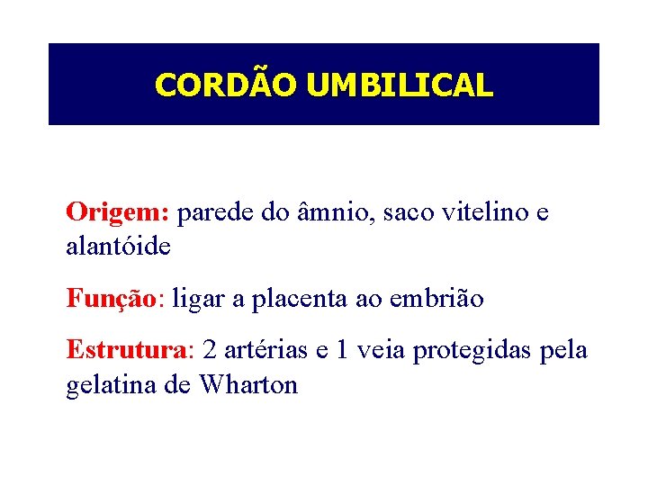 CORDÃO UMBILICAL Origem: parede do âmnio, saco vitelino e alantóide Função: ligar a placenta