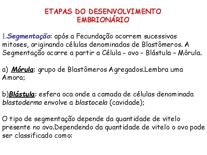 ETAPAS DO DESENVOLVIMENTO EMBRIONÁRIO 1. Segmentação: após a Fecundação ocorrem sucessivas mitoses, originando células