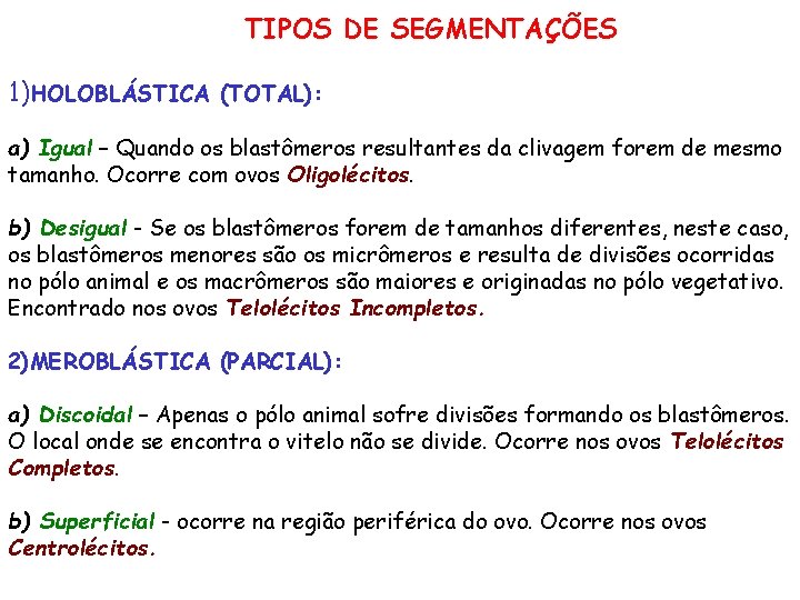 TIPOS DE SEGMENTAÇÕES 1)HOLOBLÁSTICA (TOTAL): a) Igual – Quando os blastômeros resultantes da clivagem