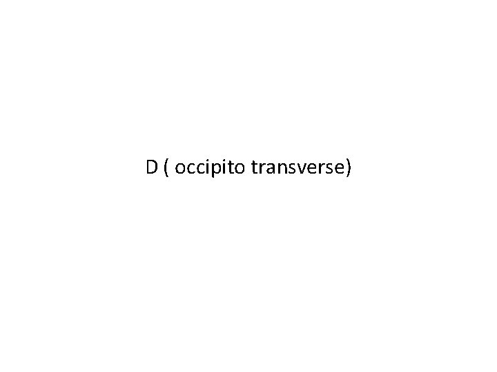 D ( occipito transverse) 