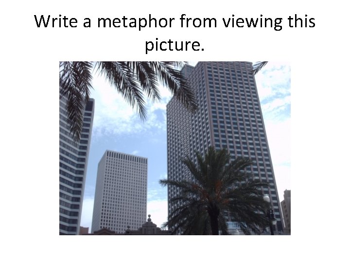 Write a metaphor from viewing this picture. 