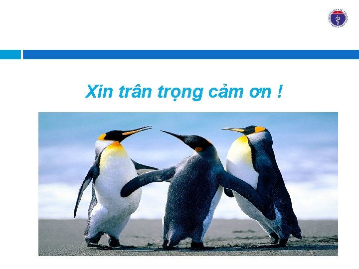 Xin trân trọng cảm ơn ! 