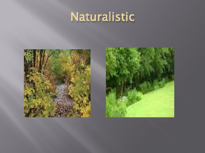 Naturalistic 