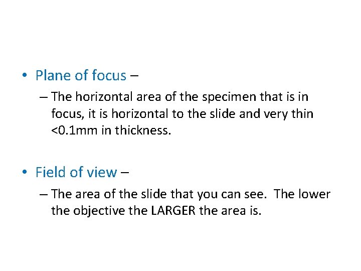  • Plane of focus – – The horizontal area of the specimen that