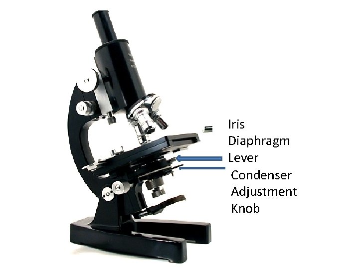 Iris Diaphragm Lever Condenser Adjustment Knob 