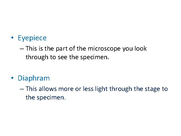  • Eyepiece – This is the part of the microscope you look through