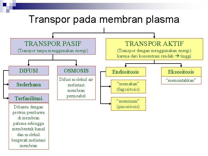 Transpor pada membran plasma TRANSPOR PASIF TRANSPOR AKTIF (Transpor tanpa menggunakan energi) (Transpor dengan