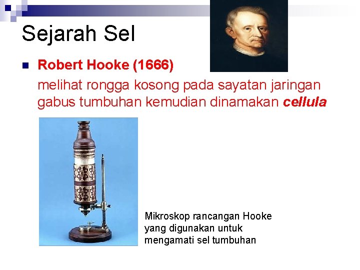 Sejarah Sel n Robert Hooke (1666) melihat rongga kosong pada sayatan jaringan gabus tumbuhan