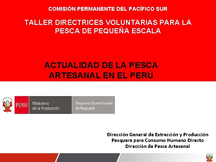 COMISIÓN PERMANENTE DEL PACÍFICO SUR TALLER DIRECTRICES VOLUNTARIAS PARA LA PESCA DE PEQUEÑA ESCALA