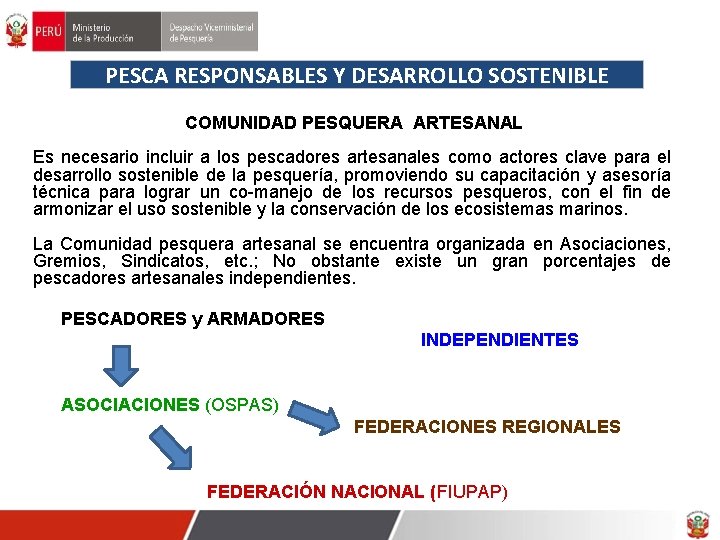 PESCA RESPONSABLES Y DESARROLLO SOSTENIBLE COMUNIDAD PESQUERA ARTESANAL Es necesario incluir a los pescadores