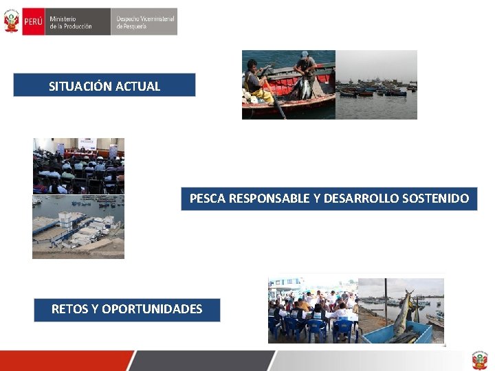 SITUACIÓN ACTUAL PESCA RESPONSABLE Y DESARROLLO SOSTENIDO RETOS Y OPORTUNIDADES 