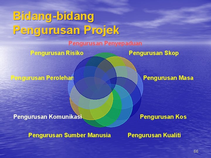 Bidang-bidang Pengurusan Projek Pengurusan Penyepaduan Pengurusan Risiko Pengurusan Perolehan Pengurusan Komunikasi Pengurusan Sumber Manusia