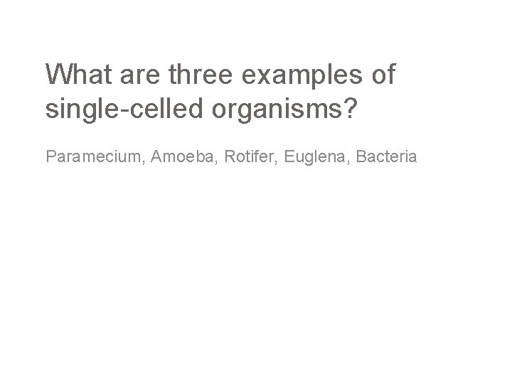 What are three examples of single-celled organisms? Paramecium, Amoeba, Rotifer, Euglena, Bacteria 