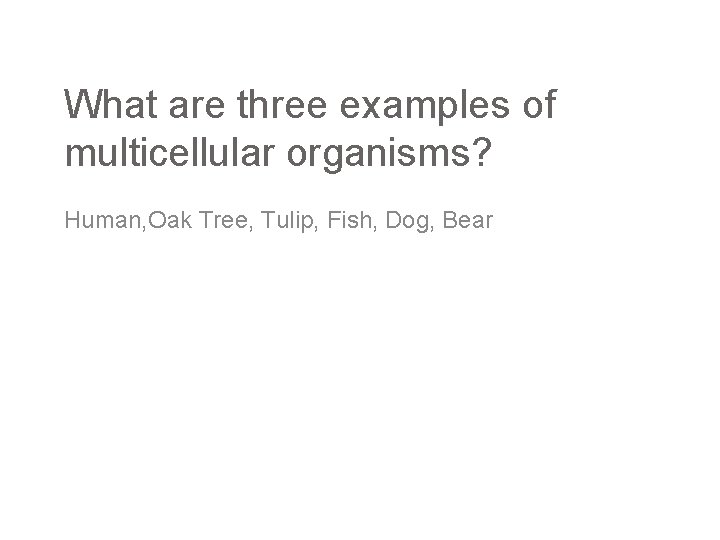 What are three examples of multicellular organisms? Human, Oak Tree, Tulip, Fish, Dog, Bear