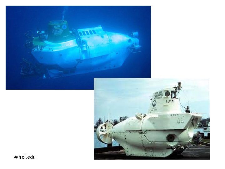 Whoi. edu 