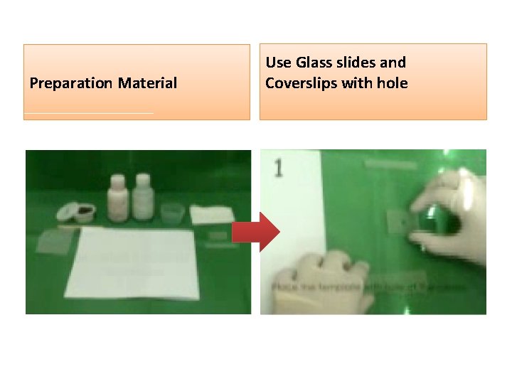 Preparation Material Use Glass slides and Coverslips with hole 