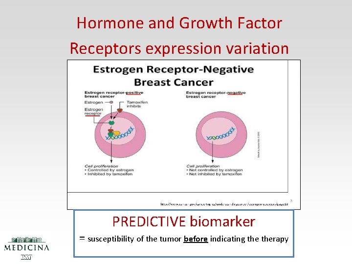 Hormone and Growth Factor Receptors expression variation PREDICTIVE biomarker = susceptibility of the tumor