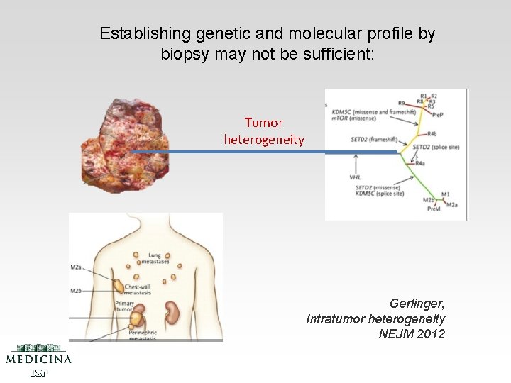 Establishing genetic and molecular profile by biopsy may not be sufficient: Tumor heterogeneity Gerlinger,