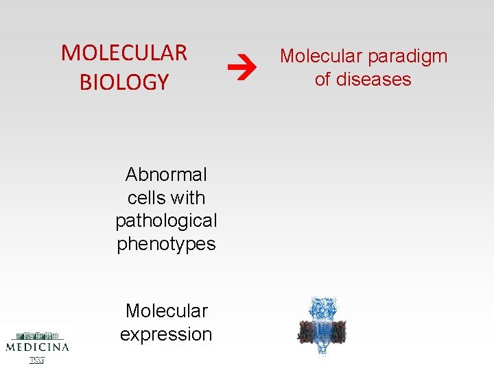 MOLECULAR BIOLOGY Abnormal cells with pathological phenotypes Molecular expression Molecular paradigm of diseases 