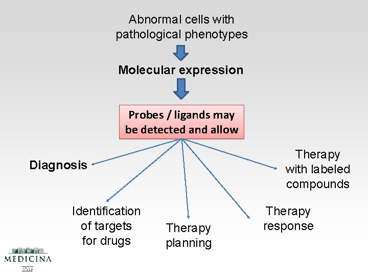 Abnormal cells with pathological phenotypes Molecular expression Probes / ligands may be detected and