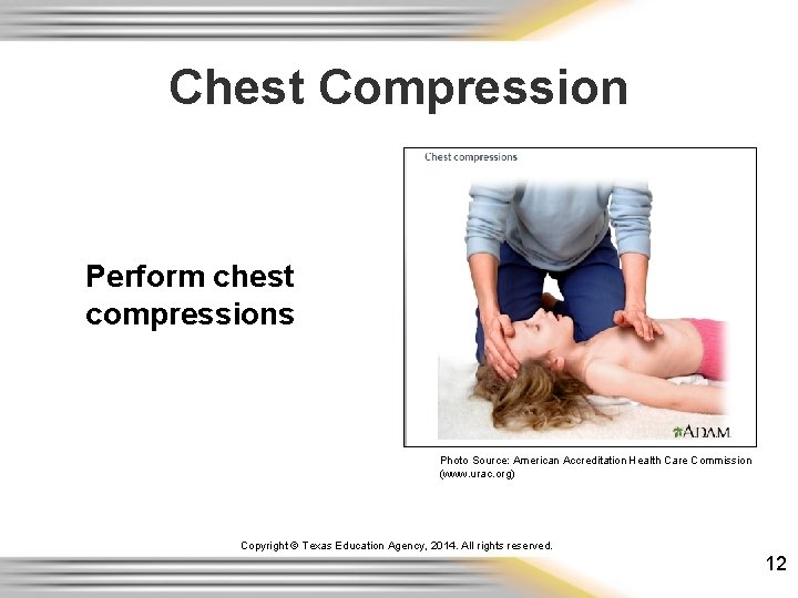 Chest Compression Perform chest compressions Photo Source: American Accreditation Health Care Commission (www. urac. Chest Compression Perform chest compressions Photo Source: American Accreditation Health Care Commission (www. urac.